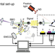 Esquema del experimento. Imagen: Tinsley et al. / Nature Communications